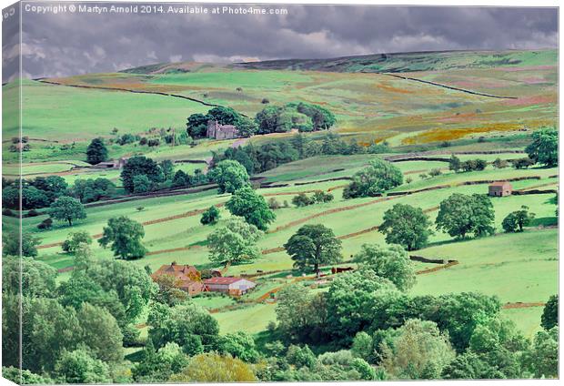 Swaledale near Reeth in the Yorkshire Dales Canvas Print by Martyn Arnold