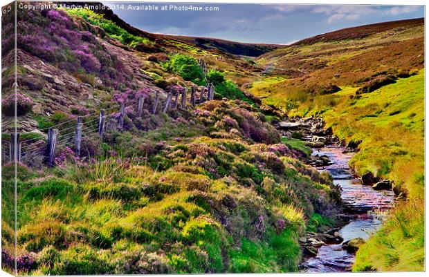 Moorland Stream in the Yorkshire Dales Canvas Print by Martyn Arnold