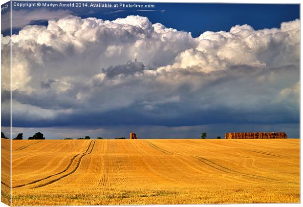 Majestic Harvest Skies Canvas Print by Martyn Arnold