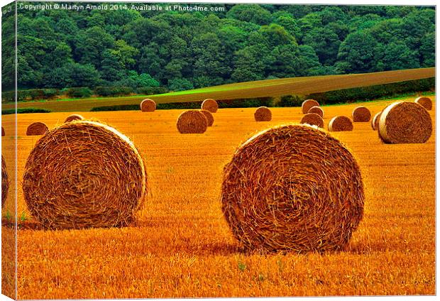 Autumn Hay Bales  Canvas Print by Martyn Arnold