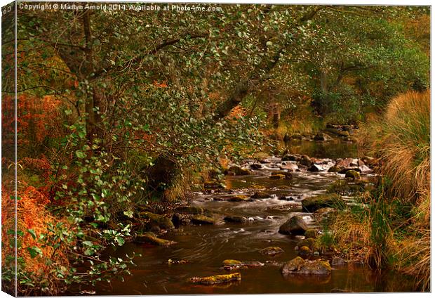 Yorkshire Moors Stream in Autumn Canvas Print by Martyn Arnold