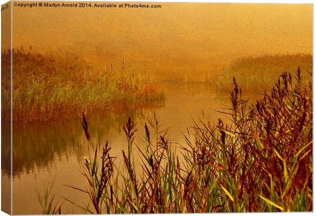  Misty Autumn Morning Canvas Print by Martyn Arnold