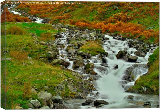  Lake District Stream Canvas Print by Martyn Arnold