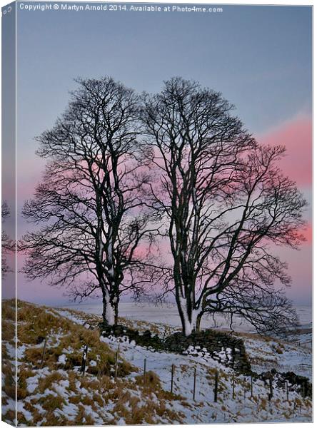 Winter Wonderland Amidst the Snowy Pennines Canvas Print by Martyn Arnold