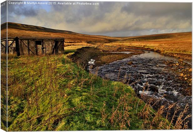  Durham Dales Stream Canvas Print by Martyn Arnold