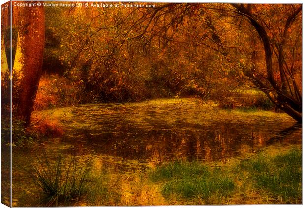  The Secret Pond Canvas Print by Martyn Arnold