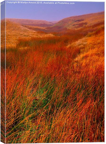 Moorland Grass in the Yorkshire Dales Canvas Print by Martyn Arnold