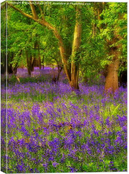 Enchanted Bluebell Wood Canvas Print by Martyn Arnold