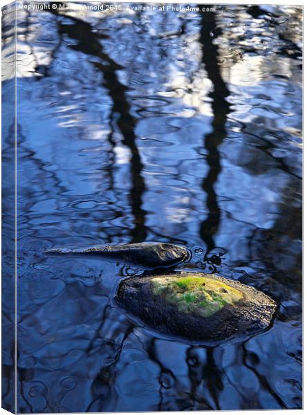  Rocks and Reflections Canvas Print by Martyn Arnold