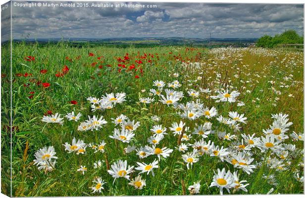  Summer Fields in County Durham Canvas Print by Martyn Arnold