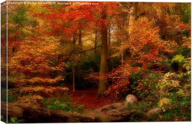  Dreamy Autumn Woodland Colours Canvas Print by Martyn Arnold