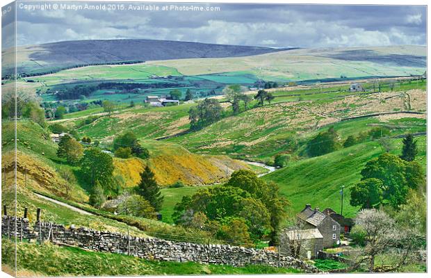Durham Dales Countryside - Weardale Canvas Print by Martyn Arnold