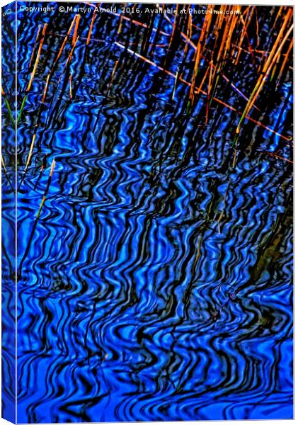 Reflections of Reeds Canvas Print by Martyn Arnold
