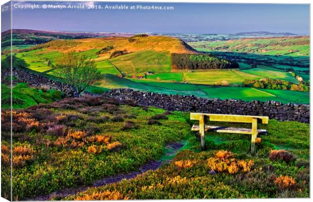 Danby Dale North York Moors Canvas Print by Martyn Arnold