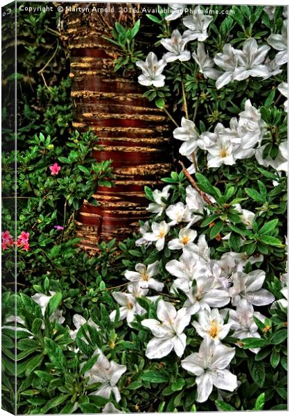 Spring Botanic Garden Flowers Canvas Print by Martyn Arnold