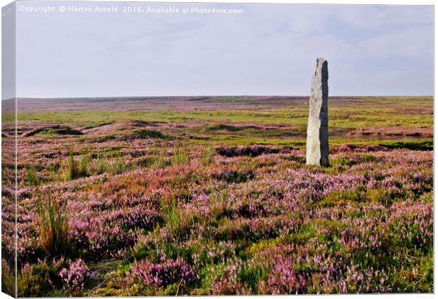 Heather Grouse Moorland in Nidderdale Canvas Print by Martyn Arnold