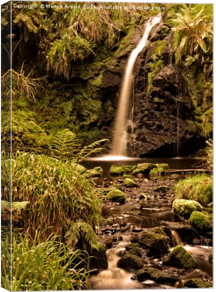 Forest Glade Waterfall Canvas Print by Martyn Arnold