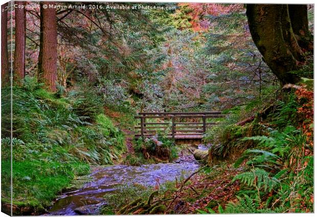 Bridge over the Woodland Stream Canvas Print by Martyn Arnold