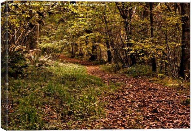 A Walk Through the Leaves Canvas Print by Martyn Arnold