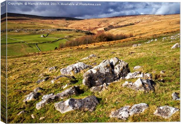 Yorkshire Dales  Canvas Print by Martyn Arnold