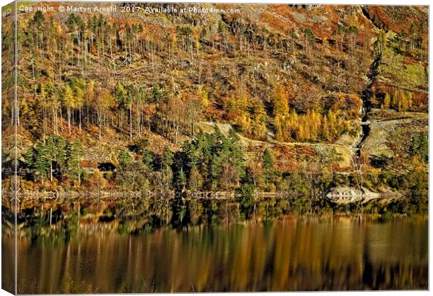 Autumn Tree Reflections Canvas Print by Martyn Arnold