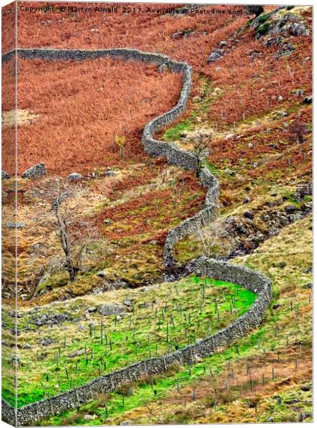 Lake District Fells Stone Wall Canvas Print by Martyn Arnold