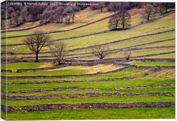 Yorkshire Dales Stone Walls Canvas Print by Martyn Arnold