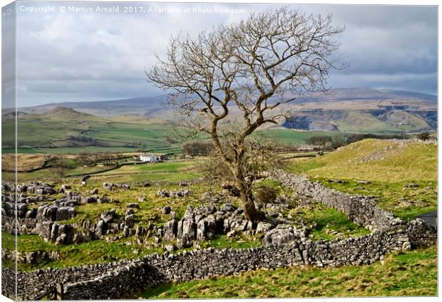 Yorkshire Dales Landscape - Malhamdale Canvas Print by Martyn Arnold