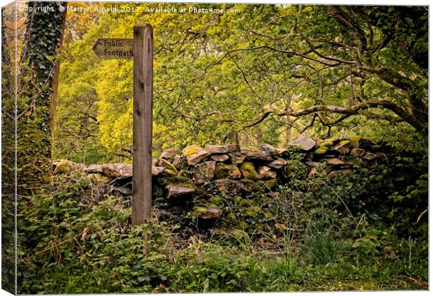 The Footpath Less Travelled Canvas Print by Martyn Arnold