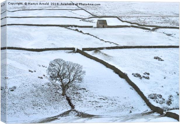 Weardale Winter Landscape Canvas Print by Martyn Arnold