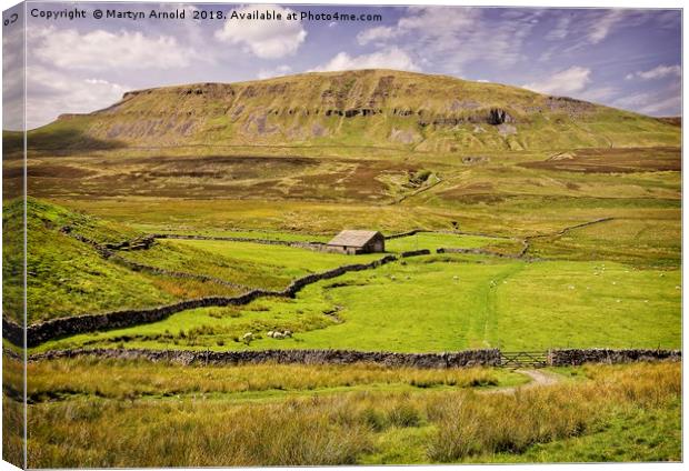 Pen-y-Ghent Yorkshire dales Canvas Print by Martyn Arnold