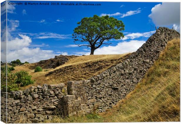 Lone Moorland Tree Canvas Print by Martyn Arnold