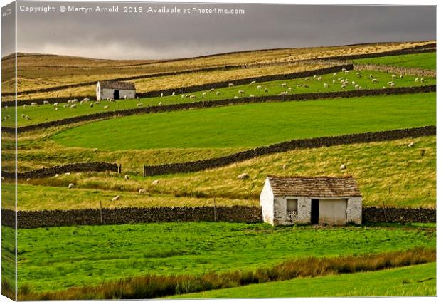 Stone Barns in the Teesdale Landscape Canvas Print by Martyn Arnold