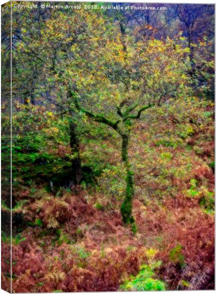 Dreamy Autumn Lake District Tree Canvas Print by Martyn Arnold