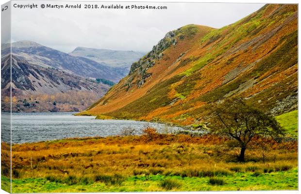 Angler's Crag, Ennerdale Water, Lake District Canvas Print by Martyn Arnold
