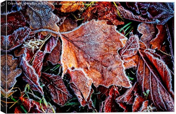 Frosty Leaves Canvas Print by Martyn Arnold