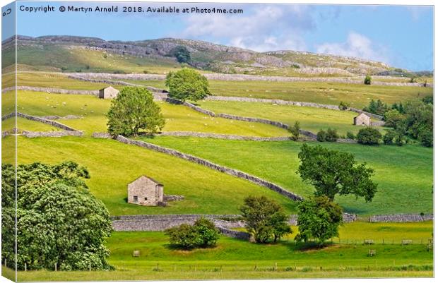 Yorkshire Dales Landscape Canvas Print by Martyn Arnold