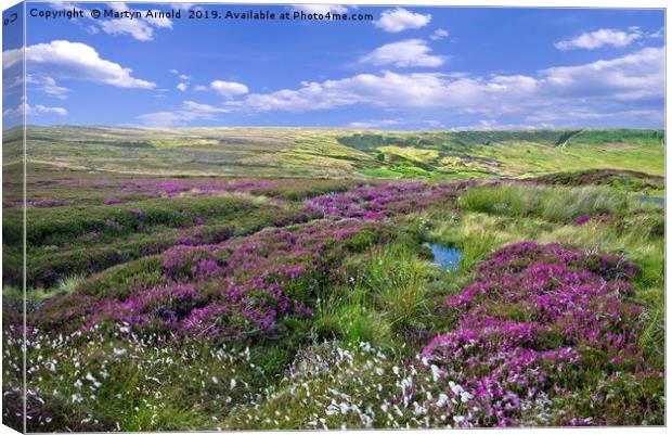 Yorkshire Moors Heather and Cottongrass landscape Canvas Print by Martyn Arnold