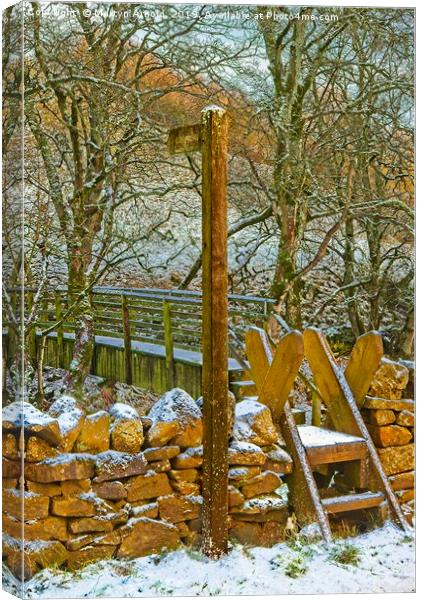 Weardale Way Winter, North Pennines AONB Canvas Print by Martyn Arnold