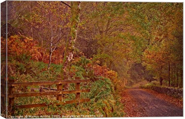 Autumn Country Lane Canvas Print by Martyn Arnold