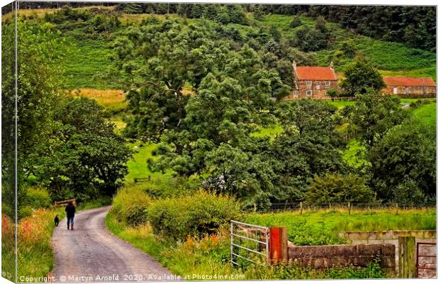 Yorkshire Country Lane Canvas Print by Martyn Arnold