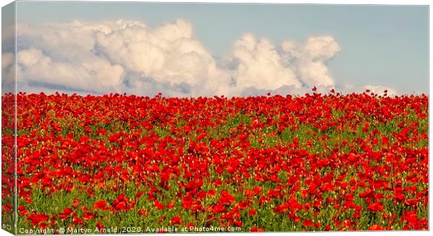 Poppy Panorama Canvas Print by Martyn Arnold