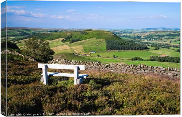 Rest a While on the Yorkshire Moors Canvas Print by Martyn Arnold
