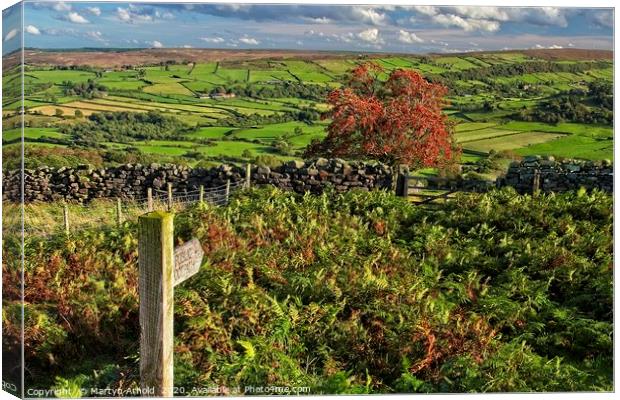 Footpath to Glaisdale, North York Moors Canvas Print by Martyn Arnold