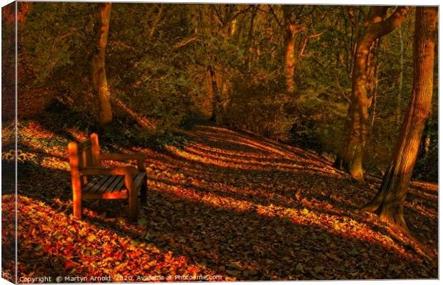 An Autumn Woodland Walk Canvas Print by Martyn Arnold