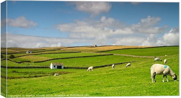 North Pennines Landscape Canvas Print by Martyn Arnold