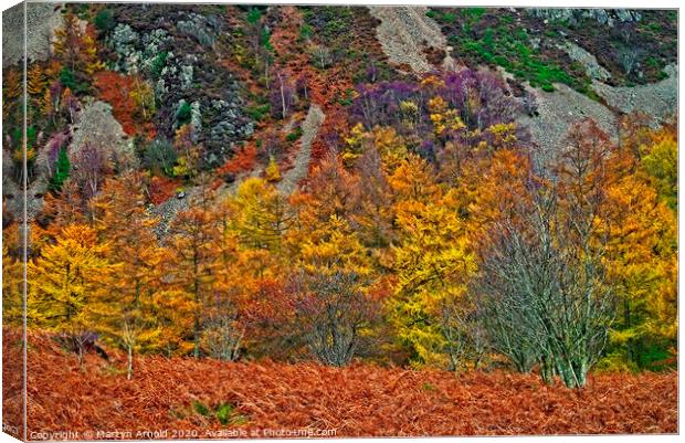 Natures Autumn Colours Canvas Print by Martyn Arnold