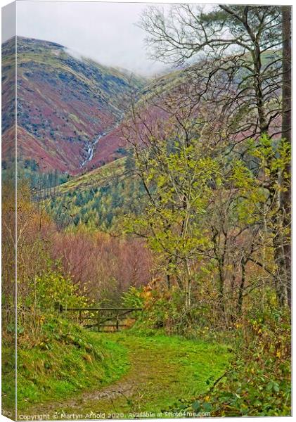 Thirlmere View to Helvellyn Ridge Canvas Print by Martyn Arnold