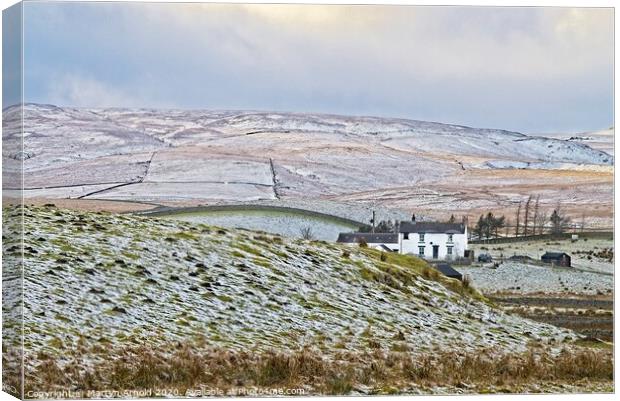 Teesdale Winter Landscapes Canvas Print by Martyn Arnold