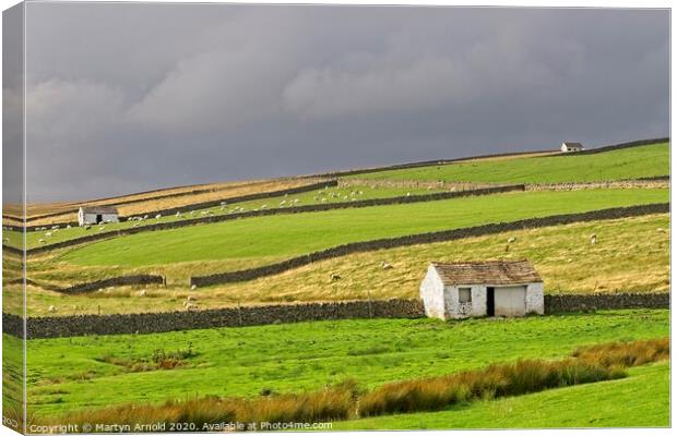 Teesdale Landscapes Canvas Print by Martyn Arnold
